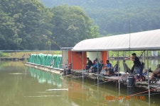 고담낚시터 유료낚시터 > 100수 탄생 + 붕어방류 : 낚시사랑