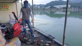 안성 거청낚시터 유료낚시터 > 7월 31 일 안성 거청낚시터 붕어조황 : 낚시사랑