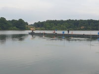 성호낚시터 유료낚시터 > 와~우 짝짝짝. 8월2일 조황정보 이천성호낚시터. : 낚시사랑