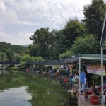 우금낚시공원 유료낚시터 > 8월의시작 주말조황 : 낚시사랑