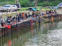 남전지기 유료낚시터 > 주말 느면나오는 손맛터 수준 및 방류소식 : 낚시사랑