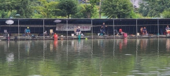 당골낚시터 유료낚시터 > ~~~조황정보~~~ : 낚시사랑