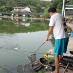 우금낚시공원 유료낚시터 > 주중조황안내~~~ : 낚시사랑