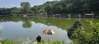 양평수곡낚시터 유료낚시터 > 힐링 양평낚시터 수곡낚시터 셋째주초 월,화 조황 및 오늘 붕어방류합니다 : 낚시사랑