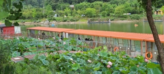 유료터정보 > 유료터점주조황 > 낚시와캠핑 양평 수곡낚시터 펜션 셋째주말 금,토 조황및 붕어방류