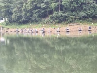 봉낚시터 유료낚시터 > 음성 봉낚시터 주말 방류및 조황~~ : 낚시사랑