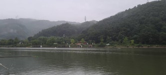 유료터정보 > 유료터점주조황 > 가을시즌 힐링 양평 수곡낚시터 펜션 주초조황 및 금일 붕어방류