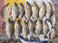 유료터정보 > 유료터점주조황 > 모두가 마릿수 9월10일 조황정보 이천성호낚시터.