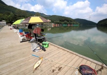 유정낚시터 유료낚시터 > 2021 / 0 9 / 10 정낚시터 실시간 조황~ : 낚시사랑