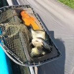 청주황청리낚시터 유료낚시터 > 안녕하세요 청주 황청리 낚시터입니다 : 낚시사랑