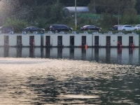 남전지기 유료낚시터 > 연휴조황 및 방류소식 : 낚시사랑