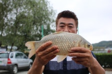 유료터정보 > 유료터점주조황 > *** 제9회 내동배 낚시대회 ***