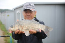 유료터정보 > 유료터점주조황 > *** 제9회 내동배 낚시대회 ***