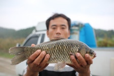 유료터정보 > 유료터점주조황 > *** 제9회 내동배 낚시대회 ***