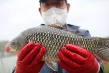 유료터정보 > 유료터점주조황 > *** 제9회 내동배 낚시대회 ***