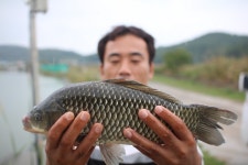 유료터정보 > 유료터점주조황 > *** 제9회 내동배 낚시대회 ***