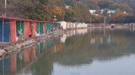 안성 거청낚시터 유료낚시터 > 10월 31 일 안성 거청낚시터 붕어조황 : 낚시사랑