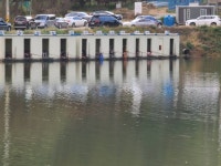 남전지기 유료낚시터 > 주말조황 및 방류소식 : 낚시사랑