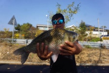 유료터정보 > 유료터점주조황 > 50떡, 50메기 3장어