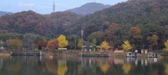 유료터정보 > 유료터점주조황 > 11월 힐링 수곡낚시터 펜션 첫주말 금,토 조황 및 2차 토종붕어 대량방류
