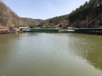 양평대명낚시터 유료낚시터 > 2021년 송어낚시 시즌 개장!! : 낚시사랑