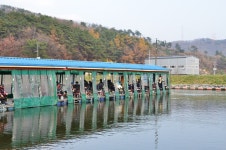 상덕낚시터 유료낚시터 > [상덕낚시터] 11월 2주차 이야기 - 용인 상덕 : 낚시사랑