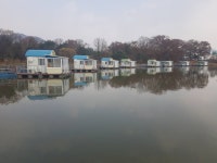 사암지(용담낚시터) 유료낚시터 > 2021년 11월 셋째주 조황정보 - 용인 용담낚시터/사암지 : 낚시사랑