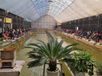 삼하낚시터 유료낚시터 > ## (삼하) 행운의 연속 ## : 낚시사랑 삼하낚시터 유료낚시터 > ## (삼하) 행운의 연속  ## : 낚시사랑