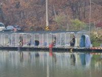 남전지기 유료낚시터 > 주말조황 및 방류소식 : 낚시사랑