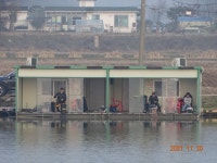 오빈낚시터 유료낚시터 > **** 주말조황 및 방류안내 **** : 낚시사랑