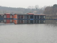 성호낚시터 유료낚시터 > 덩어리 이천성호낚시터 11월23일 조황정보. : 낚시사랑