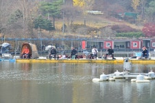 상덕낚시터 유료낚시터 > [상덕낚시터] 11월 3주차 이야기 - 용인 상덕 : 낚시사랑