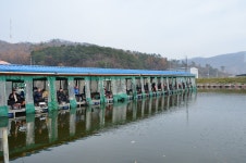 상덕낚시터 유료낚시터 > [상덕낚시터] 11월 3주차 이야기 - 용인 상덕 : 낚시사랑