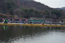 상덕낚시터 유료낚시터 > [상덕낚시터] 11월 4주차 이야기 - 용인 상덕 : 낚시사랑
