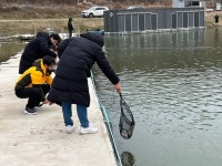 청주황청리낚시터 유료낚시터 > 청주 황청리 낚시터입니다 (송어 루어&플라이) : 낚시사랑