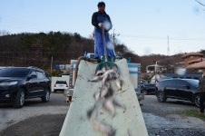 상덕낚시터 유료낚시터 > [상덕낚시터] 12월 2주차 이야기 - 용인 상덕 : 낚시사랑