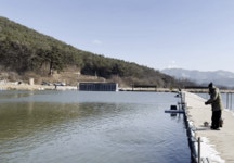 청주황청리낚시터 유료낚시터 > 청주 황청리 낚시터입니다 (송어 루어&플라이) : 낚시사랑