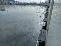 관리낚시터 유료낚시터 > ** 도심속의 작은쉼터 관리 낚시터 ** : 낚시사랑