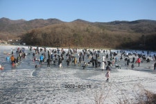 신선지 유료낚시터 > 강화신선낚시터 01/16 빙어대잔치 : 낚시사랑