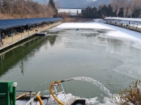 삼하낚시터 유료낚시터 > ## (삼하) 주말조황및 행운 ## : 낚시사랑 삼하낚시터 유료낚시터 > ## (삼하) 주말조황및 행운  ## : 낚시사랑