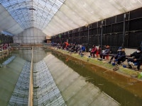 삼하낚시터 유료낚시터 > ## (삼하) 새해운수대통입니다. ## : 낚시사랑