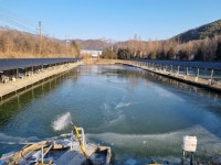 삼하낚시터 유료낚시터 > ## (삼하) 주중의 행운 ## : 낚시사랑