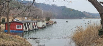 양평수곡낚시터 유료낚시터 > 양평 힐링수곡낚시터 붕어방류 및 3월둘째주말 조황 입니다 : 낚시사랑