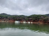 어우실지. 유료낚시터 > 주말 전좌대 고르게 나오네요 4짜가 6마리 나왔네요 토종붕어 방류는 계속됩니다 : 낚시사랑