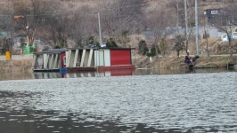 양평수곡낚시터 유료낚시터 > 3월 넷째주 양평 수곡낚시터 주중조황 및 펜션 이용 안내 : 낚시사랑