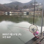 양평그린낚시터 유료낚시터 > 양평 그린낚시터 3/30~31 조황 정보 및 방류 소식 : 낚시사랑