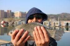 내동지 유료낚시터 > *** 4짜 풍년이네 *** : 낚시사랑