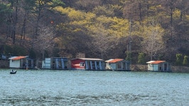 양평수곡낚시터 유료낚시터 > 힐링 수곡낚시터 4월 둘째주 주중반 조황 및 펜션 예약운영 안내 : 낚시사랑