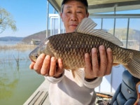 송전집좌대 유료낚시터 > 이동지(송전지) 송전 좌대(송전집) 조황정보 - 대물경보 : 낚시사랑