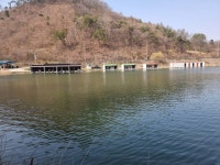 봉낚시터 유료낚시터 > 봉낚시터 주말 방류사진및 조황정보 올려드립니다~ : 낚시사랑